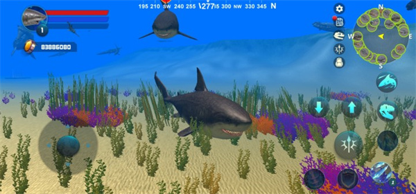 Megalodon Simulator安装器