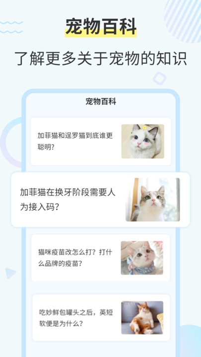 猫咪交流翻译器 猫咪交流翻译器