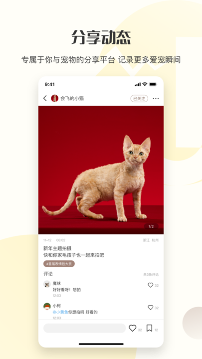 集宠区爱宠社区