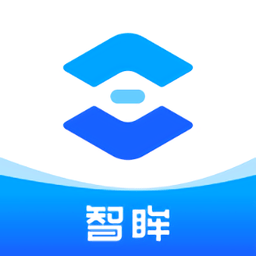 智眸