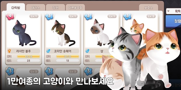나비냥