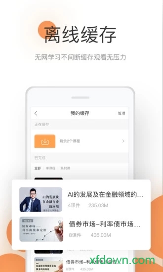 领带