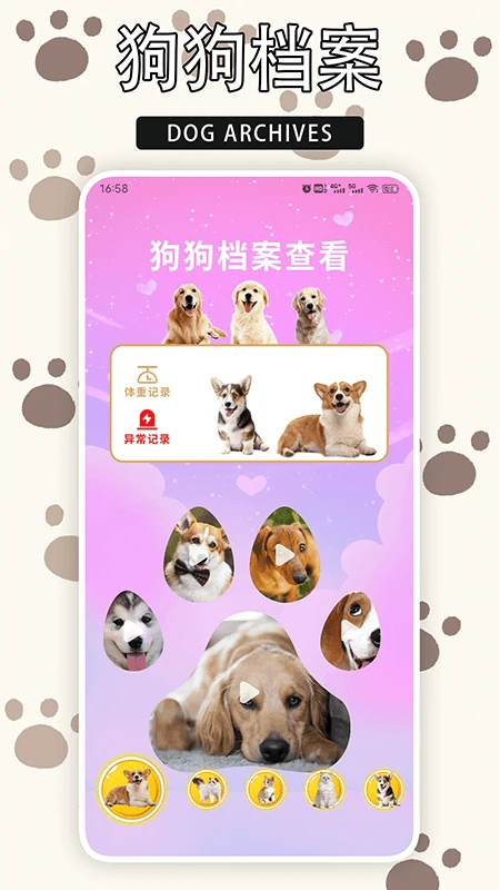 爱游猫