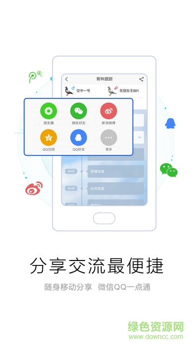 爱鸽者