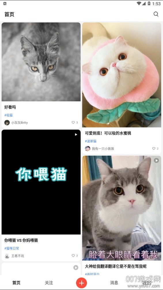 猫猫社 猫猫社