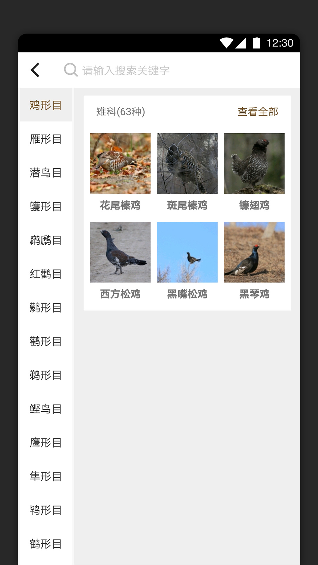 识鸟
