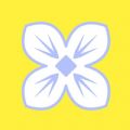 丁香花瓣
