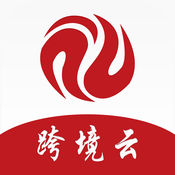 跨境云