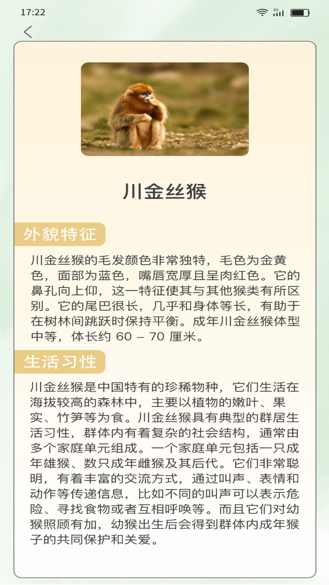 吉吉爱刷