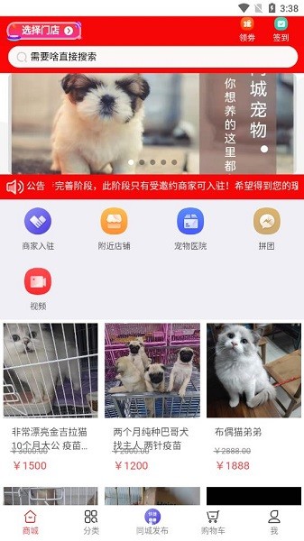 同城宠物