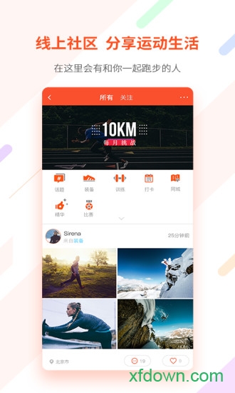 郁金香运动 郁金香运动