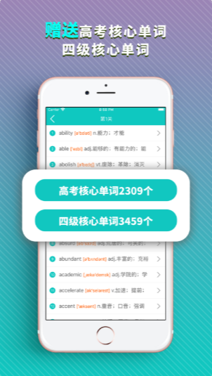 心核心