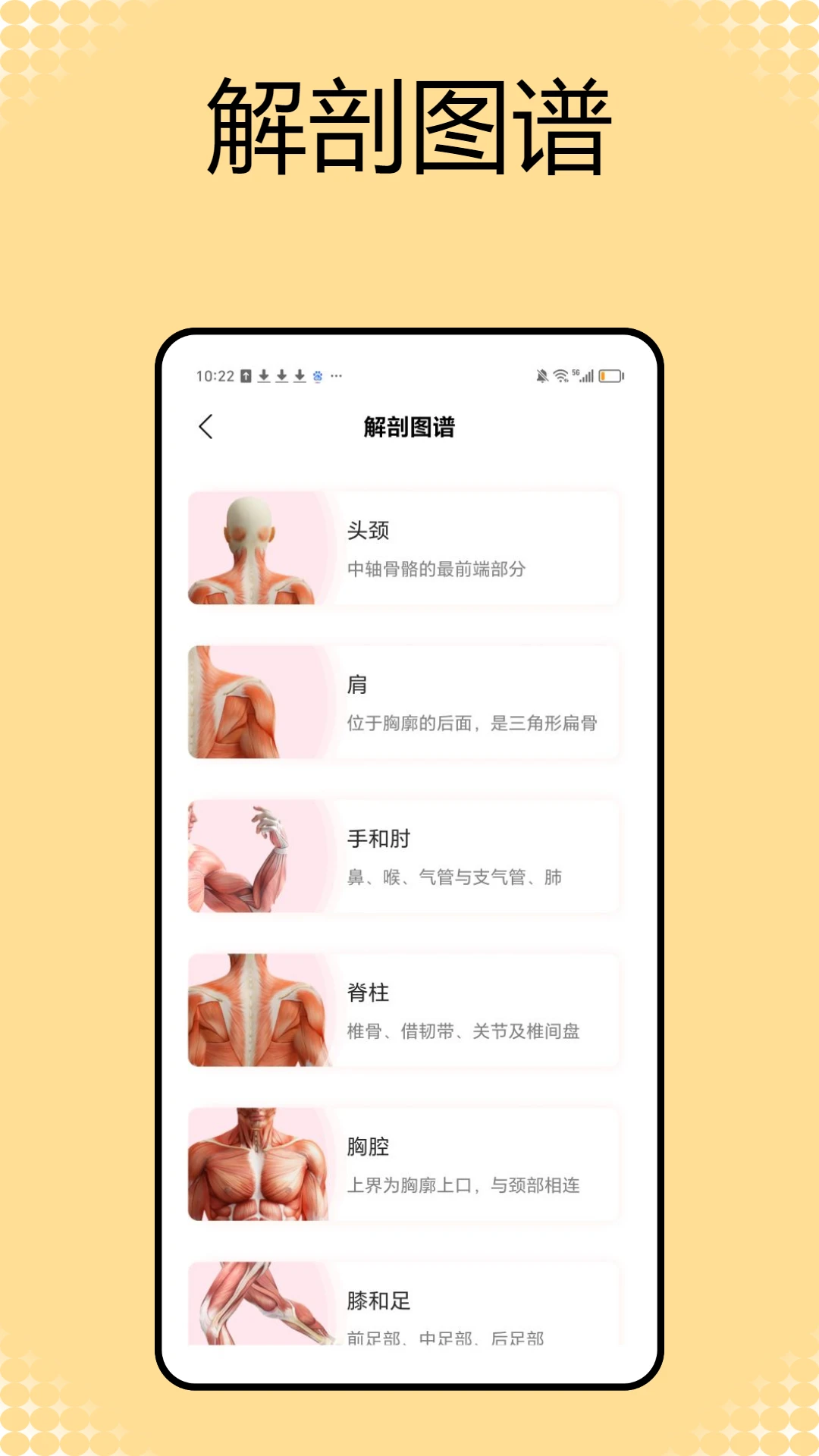 解剖和生理学