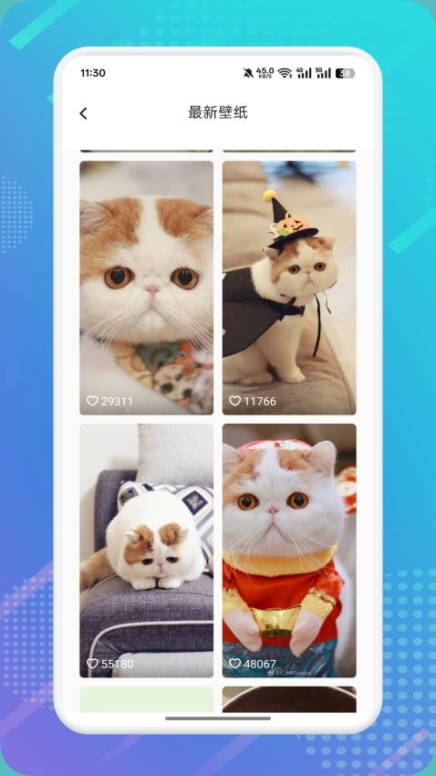 猫咪社区