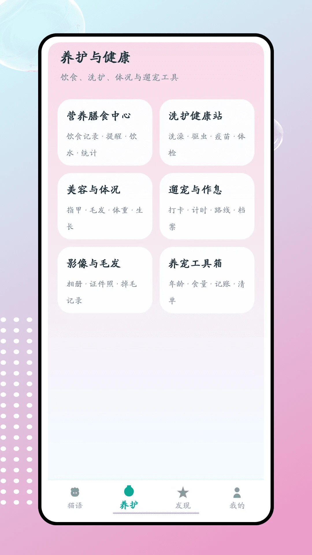 肥猫