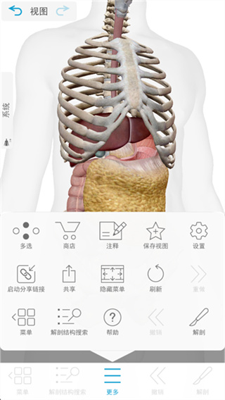 人体解剖学图谱(Atlas)手机版下载