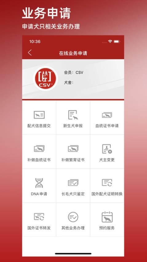 CSV官方版