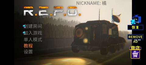 REPO