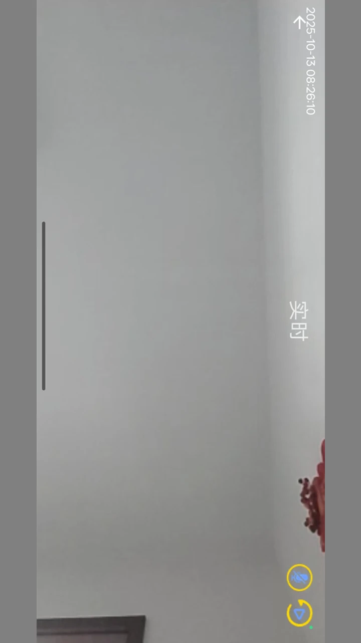 小眸随行