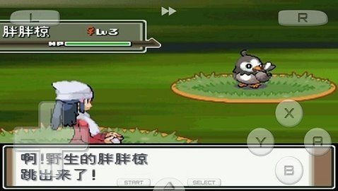 口袋妖怪 白金493汉化版