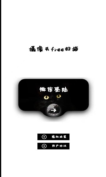 网络摄像头检测器