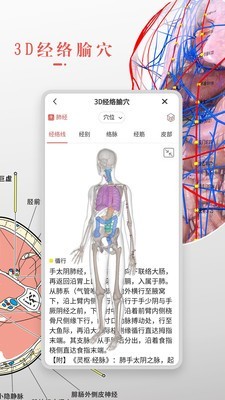 Easy解剖