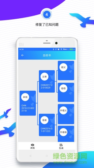 鸽羽林