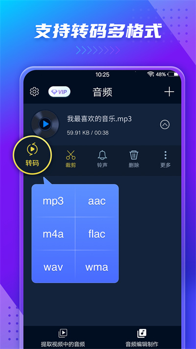 Audio Extractor