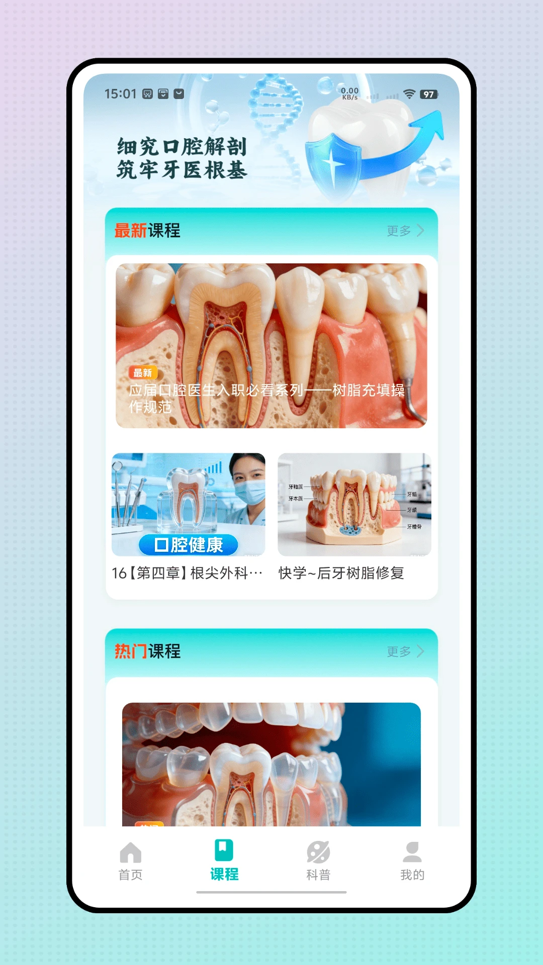 口腔解剖图