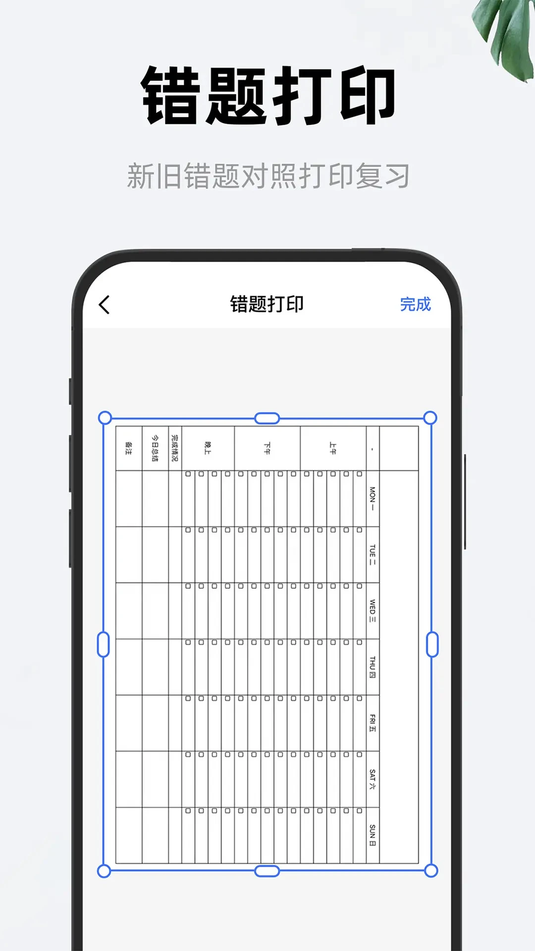 喵喵错题打印机