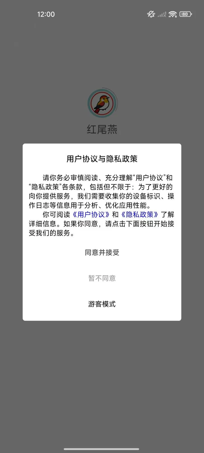红尾燕 红尾燕