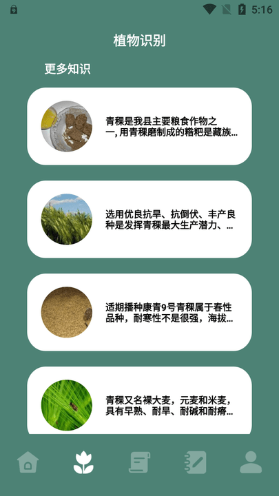 种植物语 安卓版v1.1