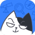 坏坏猫