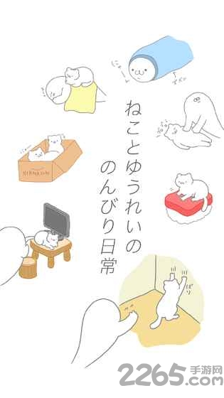 Purrfect安装器