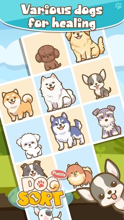 狗分类游戏(dog sort)