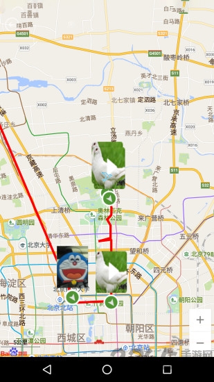 赛鸽世界