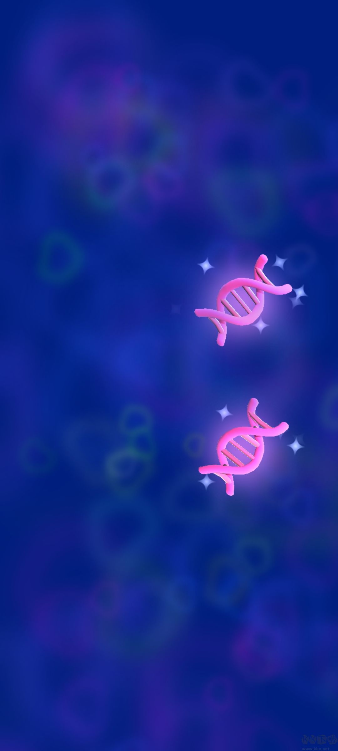 Evolution Merge安装器