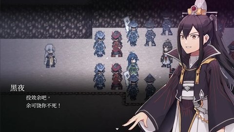 和平缔造者:光辉王女