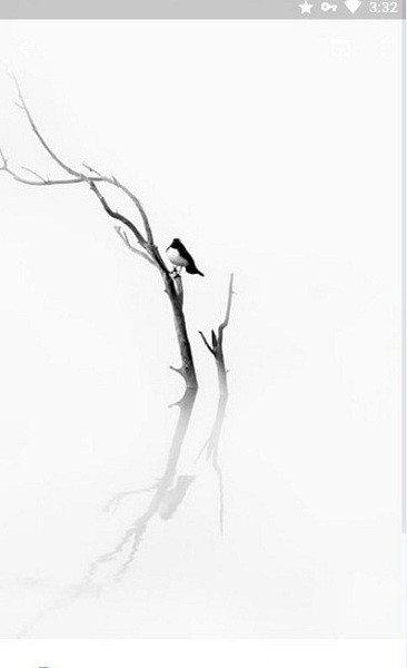 wallpaperengine壁纸引擎18+app wallpaperengine壁纸引擎18+app