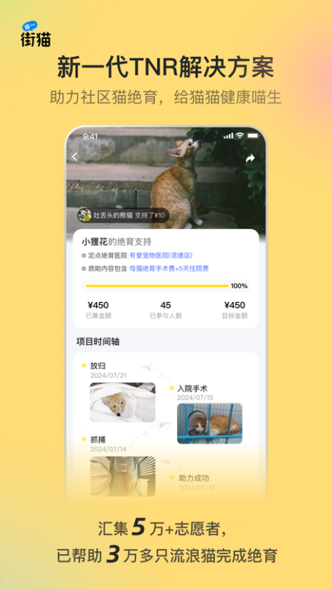 街猫 街猫
