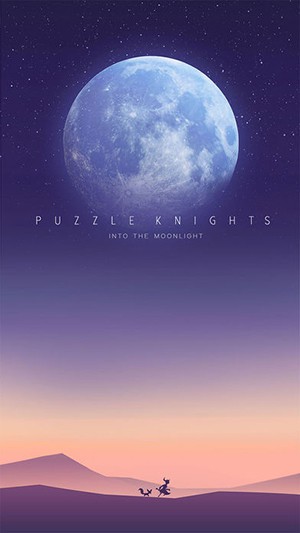PuzzleKnights