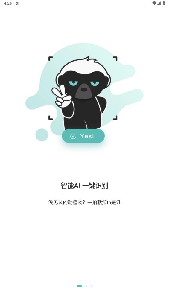百科物语