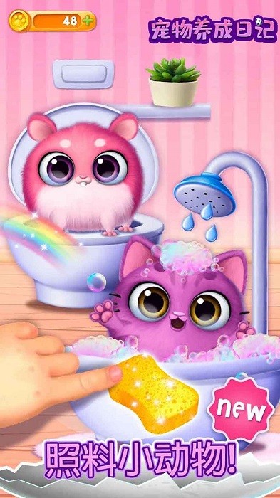 宠物达人 宠物达人