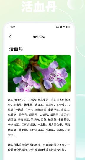 福气小院子
