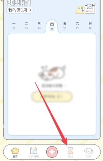 口袋周计划 口袋周计划