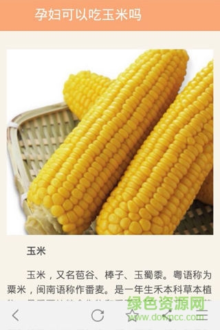 孕妇饮食 孕妇饮食