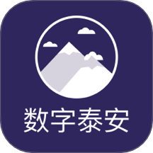 数字泰安