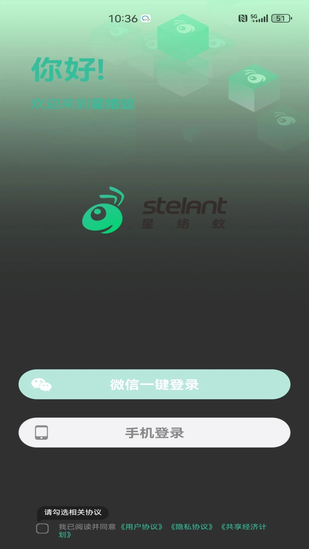 星络蚁