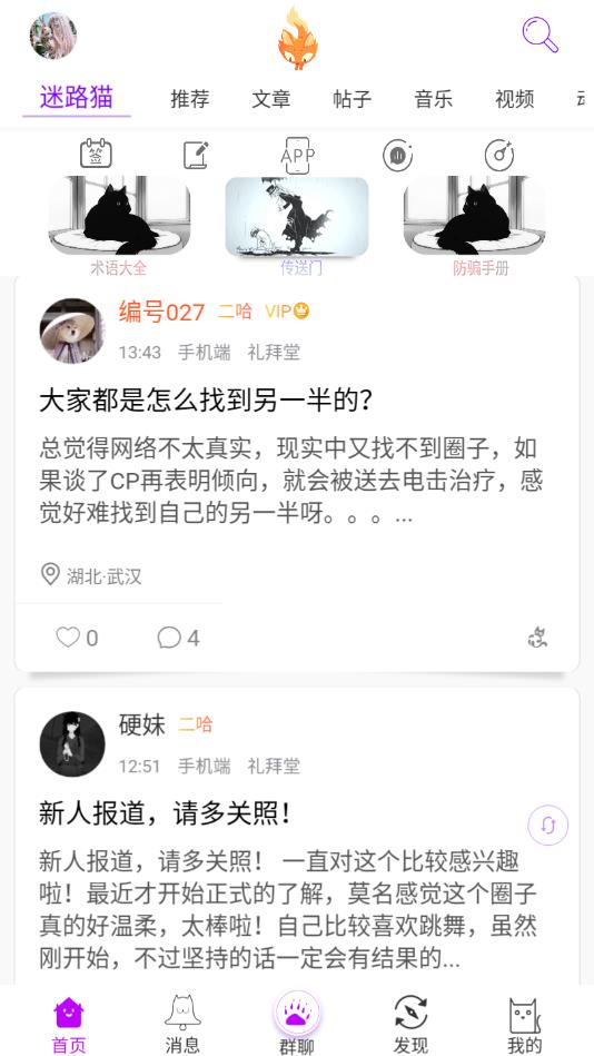 迷路猫 迷路猫