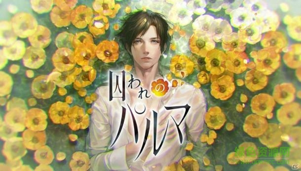 パルマ